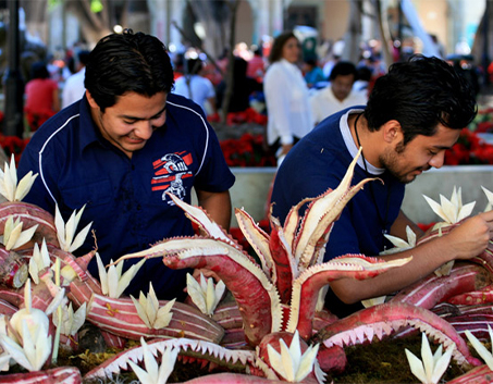 Vista Tourism & Travel A.S.